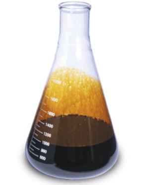 Polymer Fuel